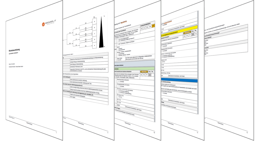 Report Risk Assessment